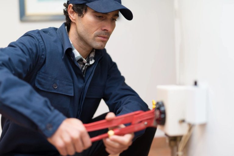 sellers guide to home inspections